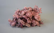 Image for Muschi Islanda roz 0,25kg
