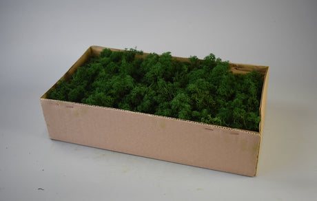 Image for Muschi Is.verde inchis 500gr