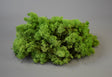 Image for Muschi Islanda. 0,25kg verde deschis