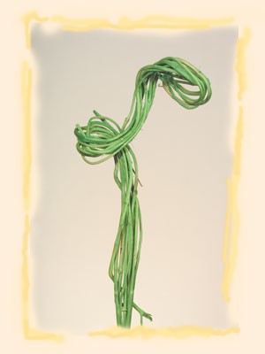 Image for Crengi cu cerculete verde deschis