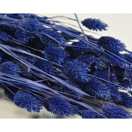 Tallaris 100gr albastru