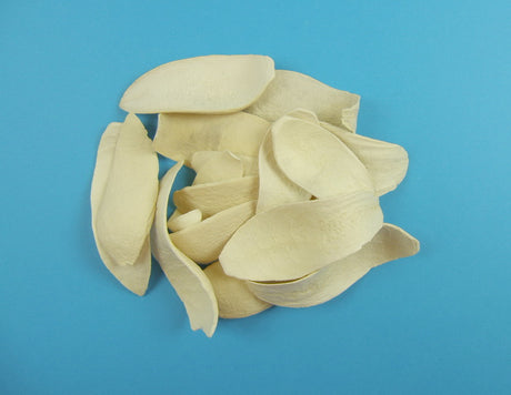 Image for Cap cobra inalbit