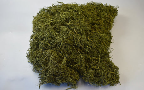 Image for Curly moos verde deschis 0,7kg