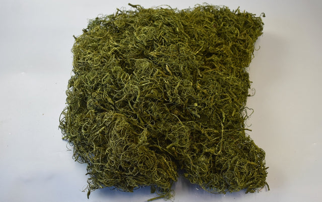 Image for Curly moos verde deschis 0,7kg