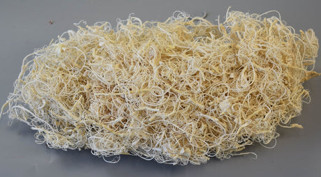 Image for Curly moos inalbit