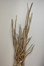 Image for Legatura creanga cocos natur