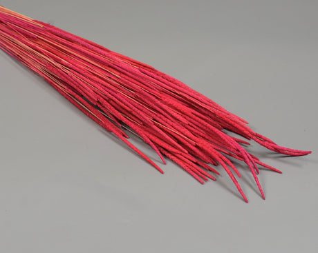 Image for Phleum 80gr red