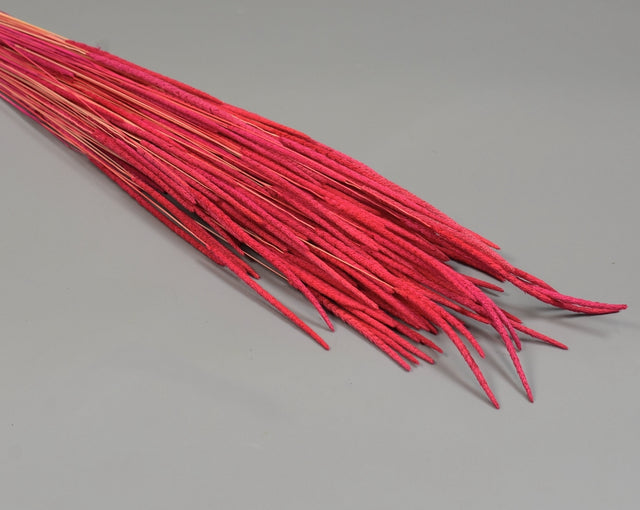 Image for Phleum 80gr red