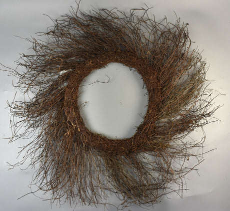 Image for Coronita salim 30/60cm