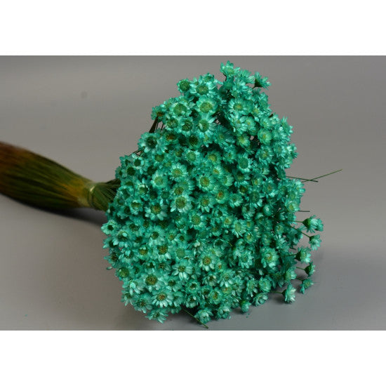 Glixia 50gr turcoaz
