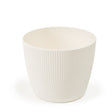 imagine produs Ghiveci Magnolia Jumper 140mm crem