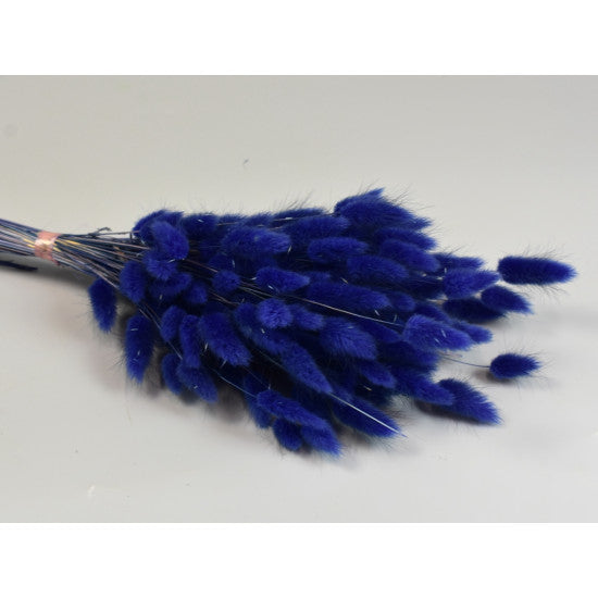 Lagurus 50g albastru