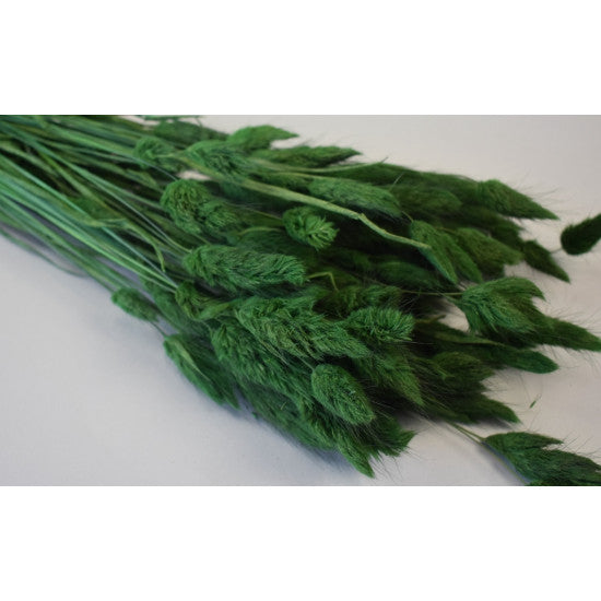 Lagurus 50g verde inchis