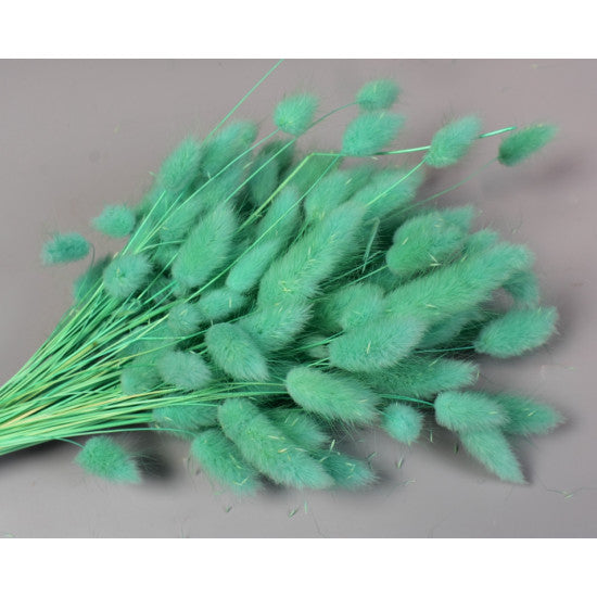 Lagurus 50gr inalbit turcoaz