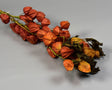 Image for Lampion chinezesc natur