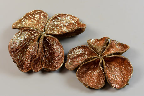 Image for Landlotus cu glitter sampanie