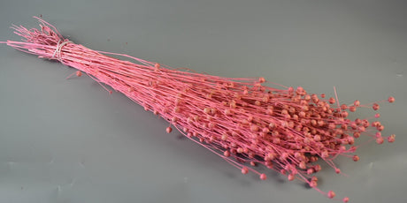 Image for In 100gr inalbit roz