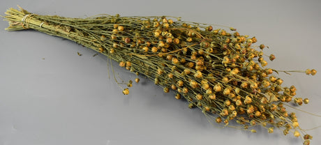 Image for In 100gr natur