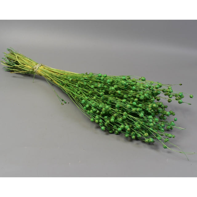 In 100g verde deschis