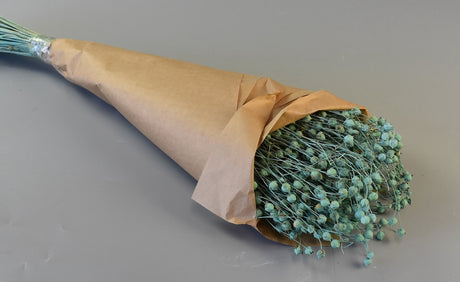 Image for In 100gr vopsit aqua