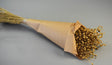 Image for In 100g natur