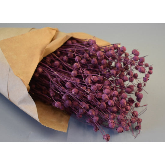 In 100gr vopsit mure in hartie