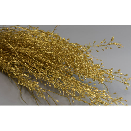 Lepidium atraxa 100gr auriu