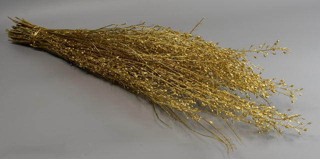 Lepidium atraxa 100gr auriu