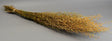 Image for Lepidium atraxa 100g natur