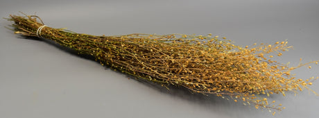 Image for Lepidium atraxa 100g natur