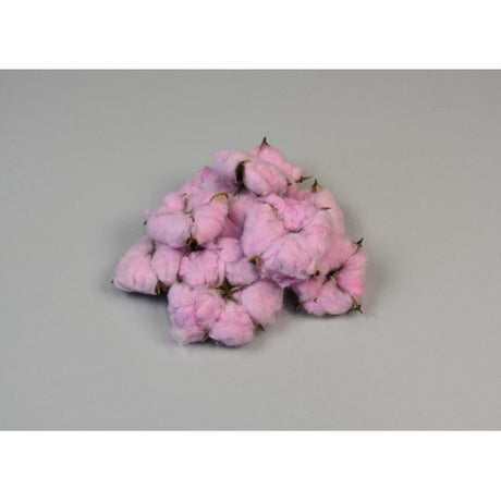 Flori de bumbac special mov deschis