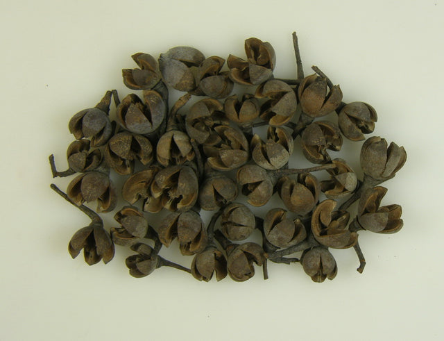 Roade de crini mini natur