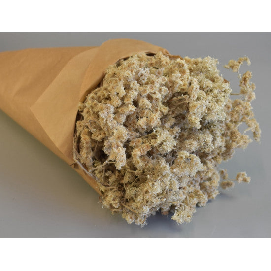 Limonium 80gr in hartie natur