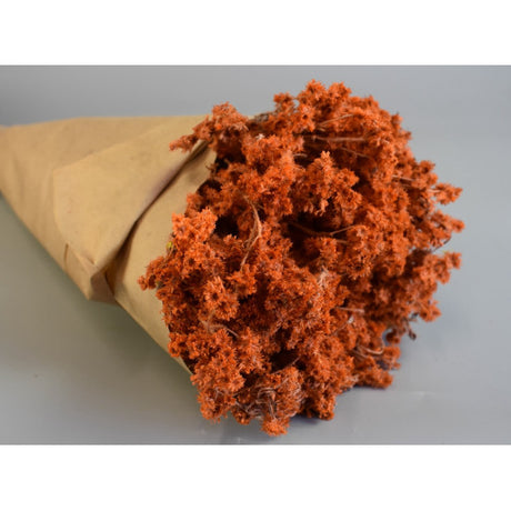Limonium 80gr in hartie portocaliu