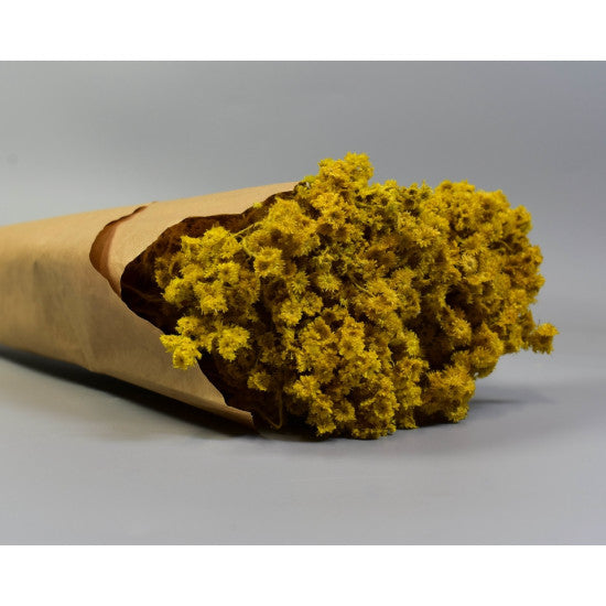 Limonium 80gr in hartie galben