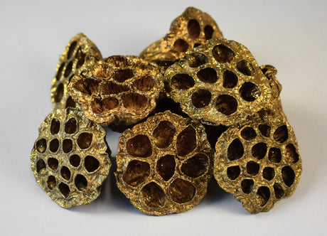 Image for Lotus mic 4-6cm auriu&glitter