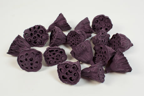 Image for Lotus mic 4-6cm vopsit mure