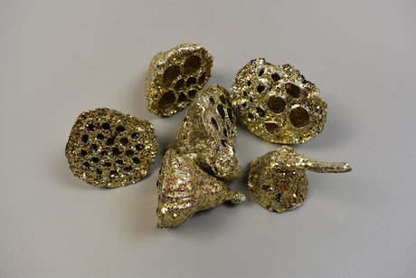 Image for Lotus mic 4-6cm sampanie cu glitter