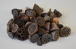 Image for Lotus mini mini natur