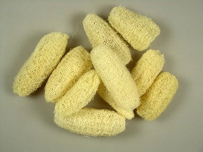 Image for Luffa 8-10cm inalbit