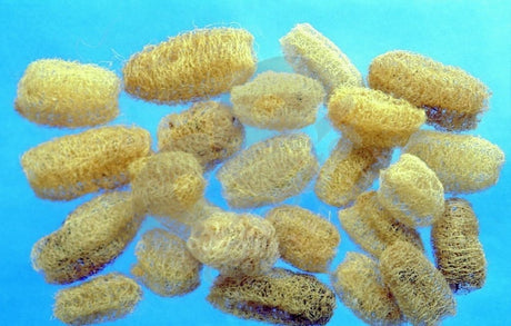 imagine produs Luffa 8-10cm