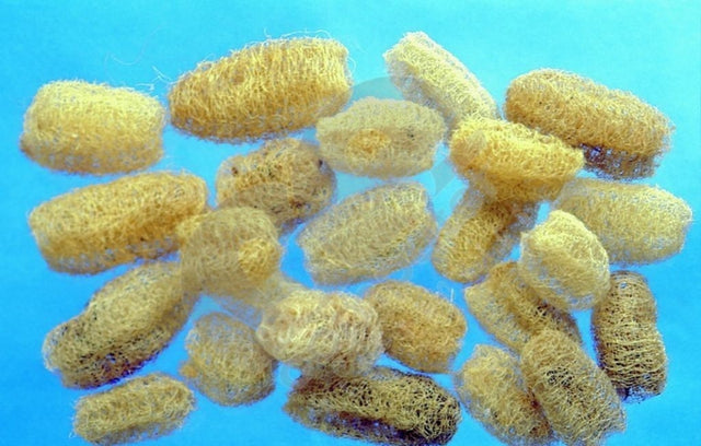 imagine produs Luffa 8-10cm