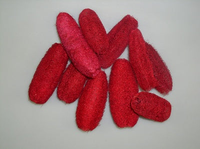 Image for Luffa 8-10 cm rosu