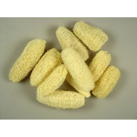 imagine produs Luffa mini mini inalbit