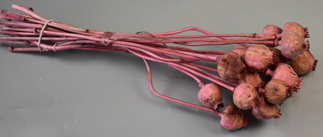 imagine produs Mac mijlociu roz