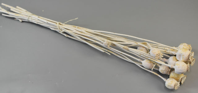 Image for Mac mini vopsit alb