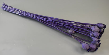 Image for Mac mini inalbit mov