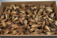 Image for Mehogany natur 260buc.