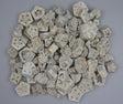 Image for Felii de mehogany cu chiciura