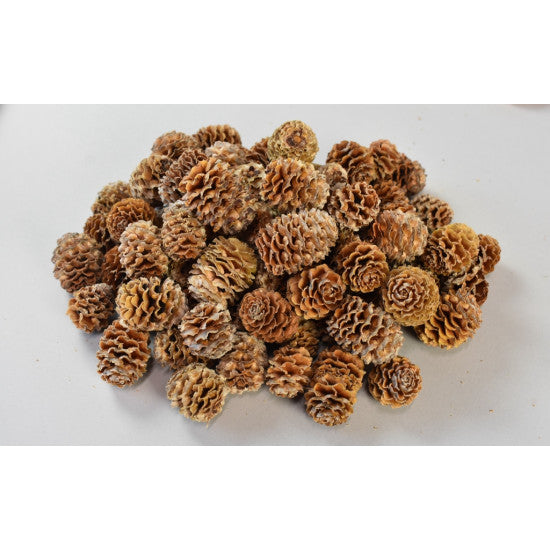 Meridianum natur deschis